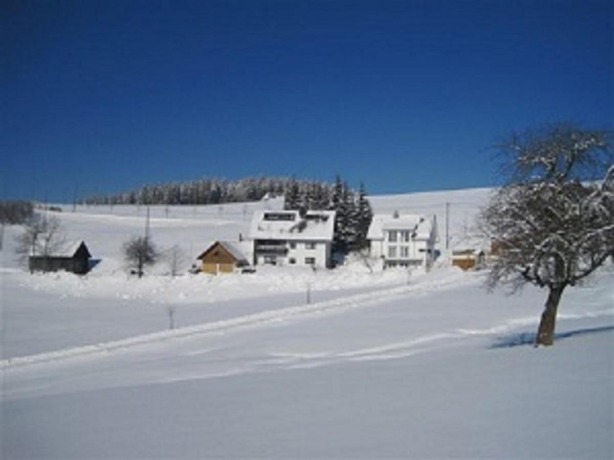 Haus Janssen-Wehrle Titisee-Neustadt Exterior foto