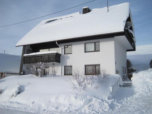 Haus Janssen-Wehrle Titisee-Neustadt Exterior foto