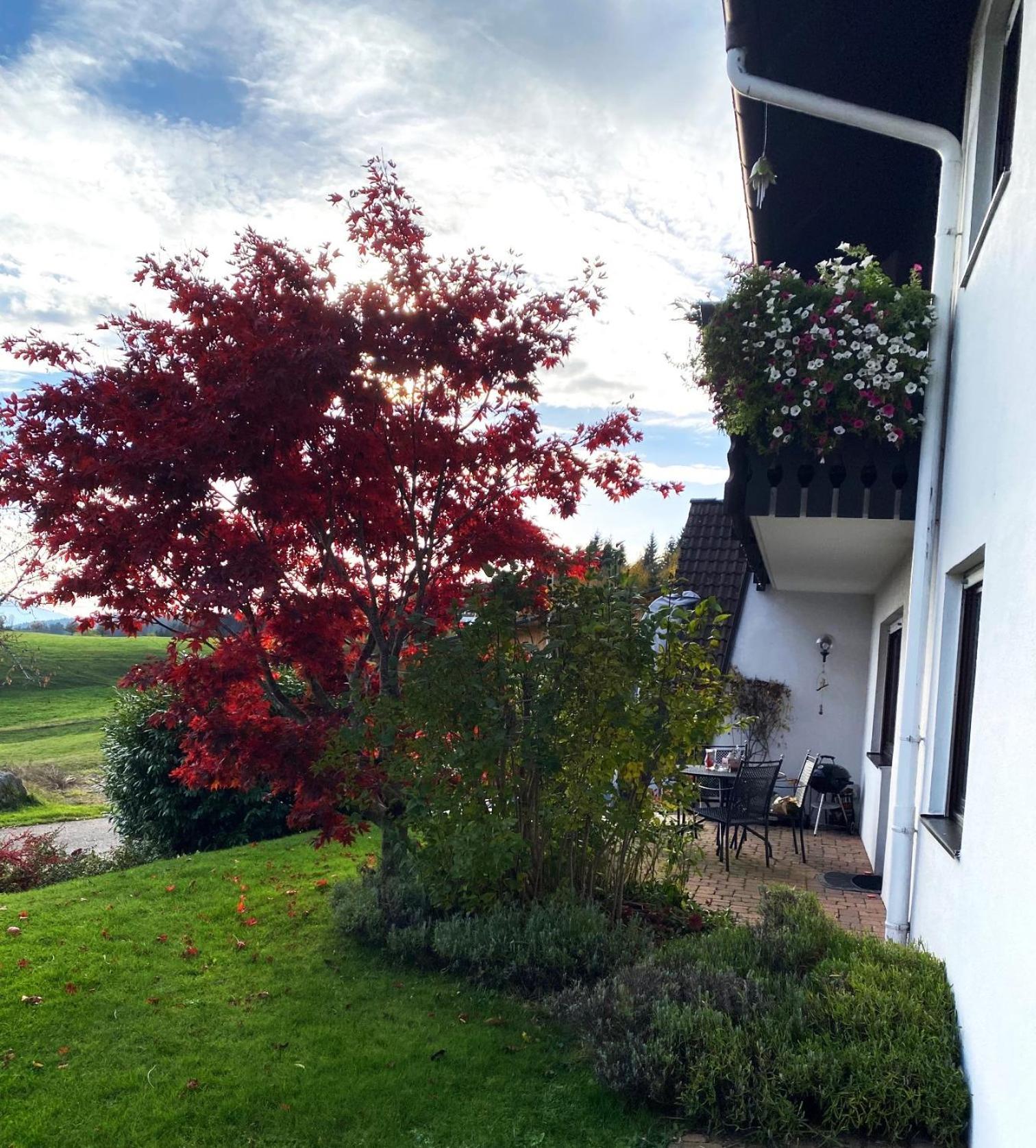 Haus Janssen-Wehrle Titisee-Neustadt Exterior foto